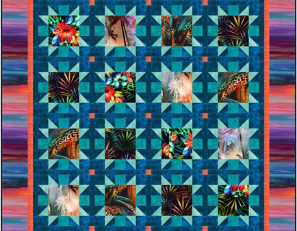 Tropical Stars Quilt Pattern CJC-54852w  - Wholesale Product Online Hot Sale