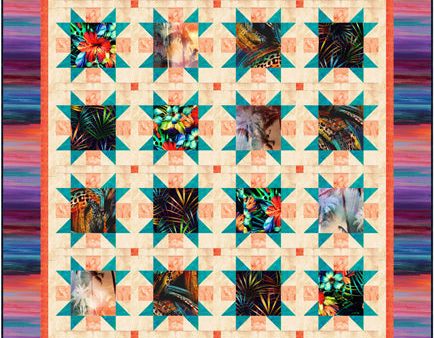 Tropical Stars Quilt Pattern CJC-54851w  - Wholesale Product For Sale