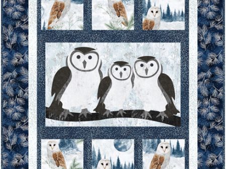 Winter Owls Wall Hanging Pattern CJC-55601w  - Wholesale Product Discount