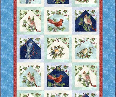 Winter Birds Quilt Pattern CJC-54031w  - Wholesale Product For Discount