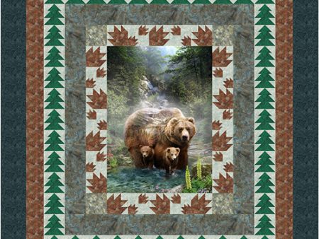 Bears and Paws Queen Quilt Pattern CJC-51765 - Paper Pattern For Discount