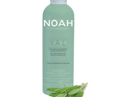 Noah YAL Hydrating And Restorative Treatment Shampoo Atkuriamasis drėkinantis šampūnas su hialurono rūgštimi ir šalaviju For Sale