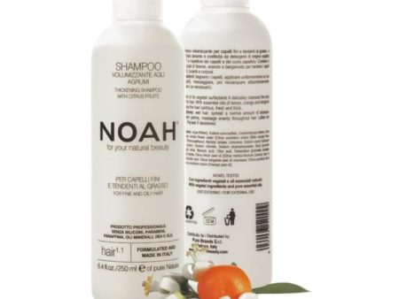 Noah 1.1. Volumizing Shampoo With Citrus Fruits Šampūnas besiriebaluojantiems plaukams Online Hot Sale