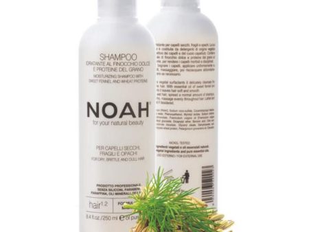 Noah 1.2. Moisturizing Shampoo With Sweet Fennel And Wheat Protein Šampūnas sausiems ir lūžinėjantiems plaukams Supply